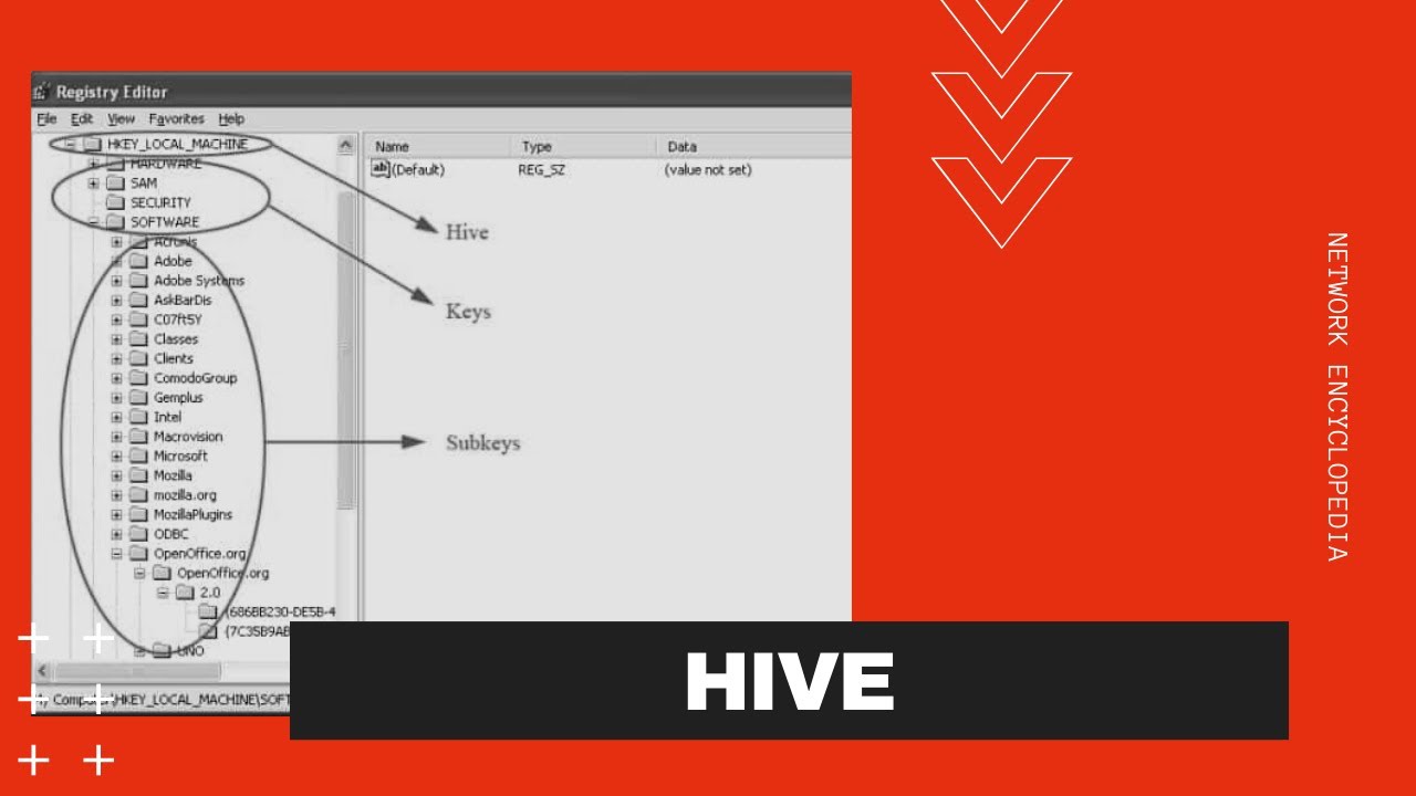 HIV: Какой программой открыть Windows Registry Hive File