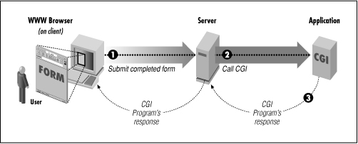 CGI: Какой программой открыть Common Gateway Interface Script