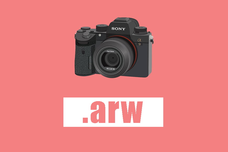 ARW: Какой программой открыть Sony Digital Camera Alpha Raw Image Format